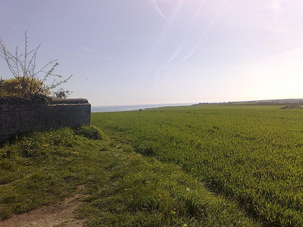 Seaview Cottage Bacton  Bagian luar foto